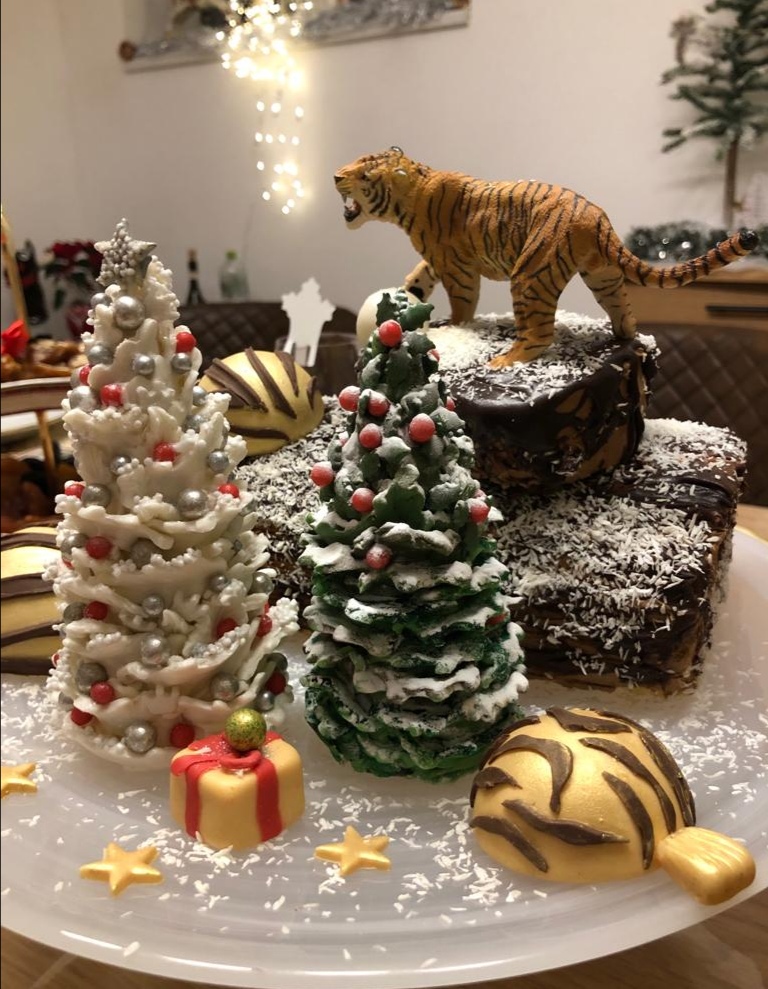 Weihnachten-Torte-Deko.jpg
